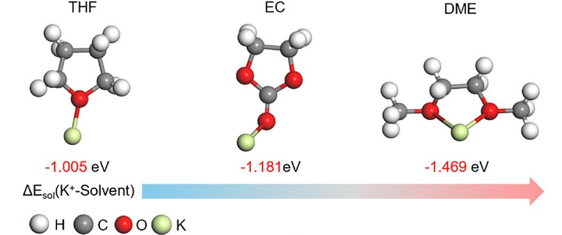aenm70903-fig-0001-m.jpg
